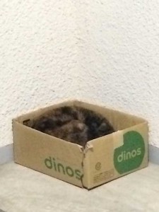 box